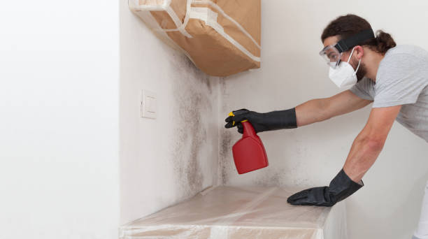 Professional Commercial Mold Remediation technician working in Petersburg, VA