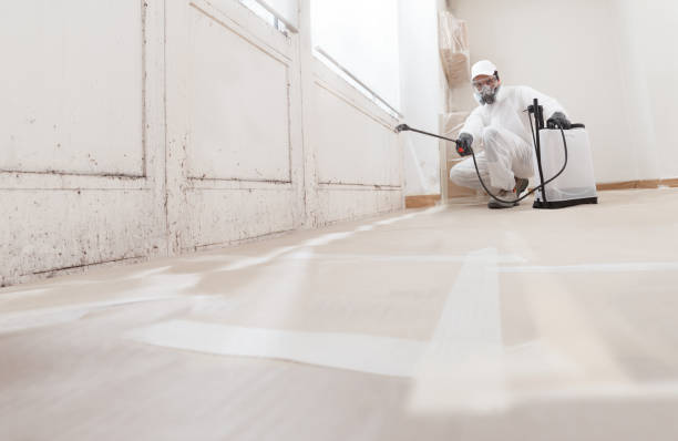 24/7 Emergency Commercial Mold Remediation experts in Petersburg, VA